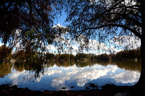 MJE_3000 copy