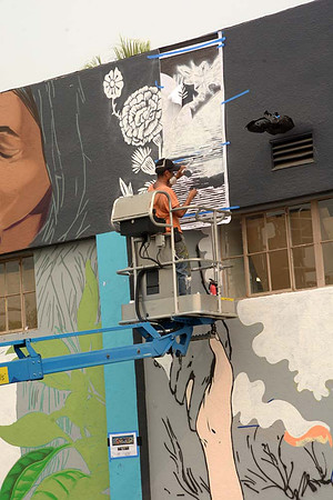 MJE_3845