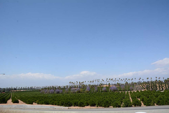 MJE_8293
