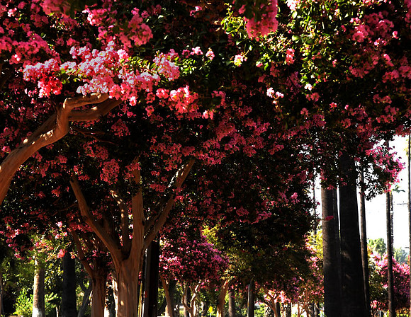 MJE_2061 APRIL
