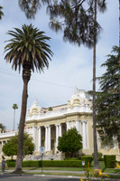 MJE_8749