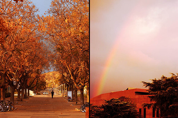 Fallcolor and rainbow copy 2