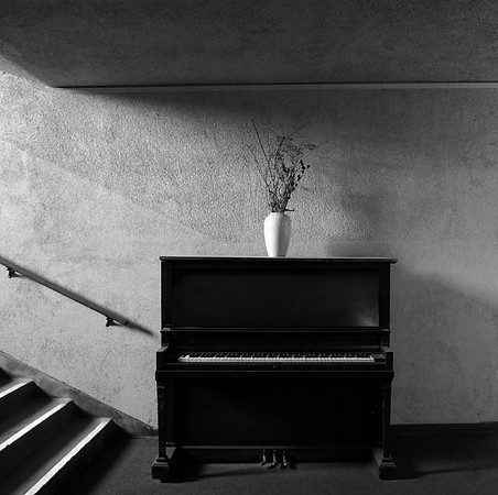 DSC_3003bw copy copy