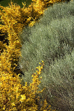 MJE_8540 copy