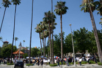 MJE_0042
