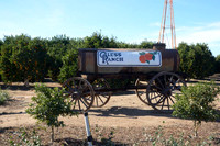 MJE_9652