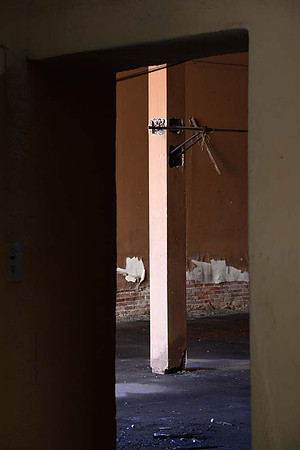 MJE_4033