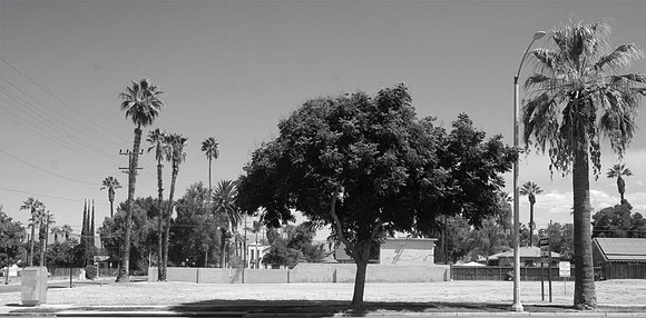 MJE_3122 copy