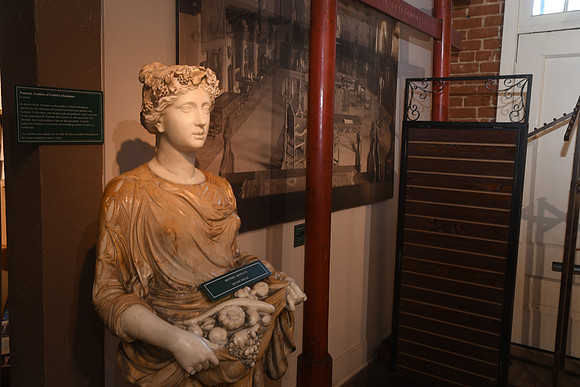 MJE_7323